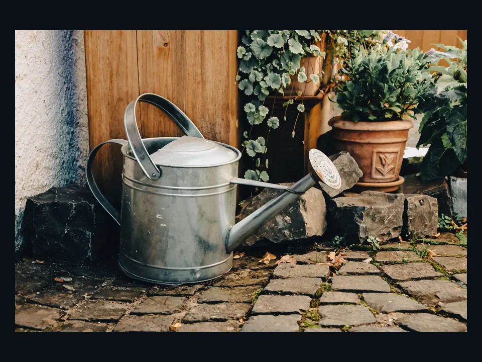 Referência visual de um regador compacto ao lado de pequenos vasos
