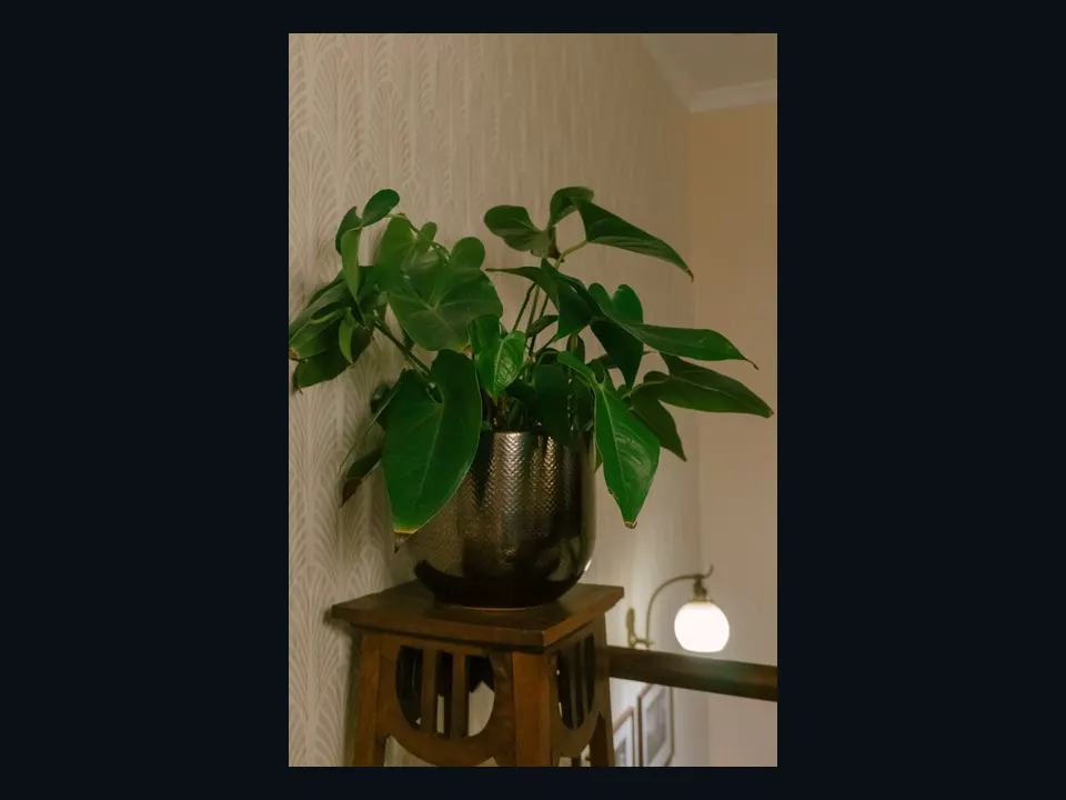Referência visual de um vaso com planta apoiado em um suporte