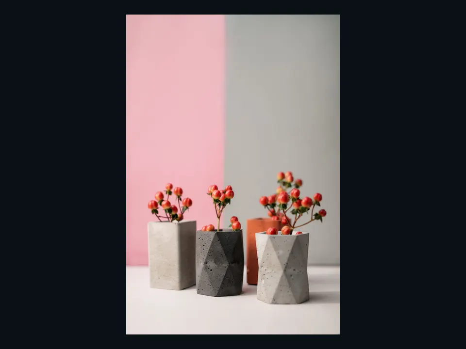 Referência visual de vasos modernos com pequenas plantas
